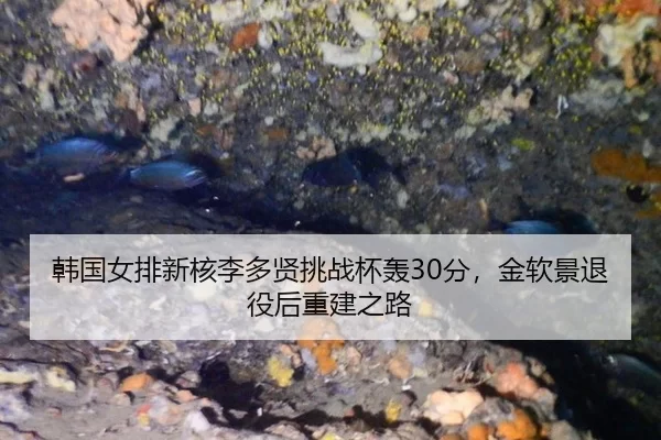 han-guo-nv-pai-xin-he-li-duo-xian-tiao-zhan-bei-hong-fen-jin-ruan-jing-tui-yi-hou-chong-jian-zhi-lu-3-597.jpg