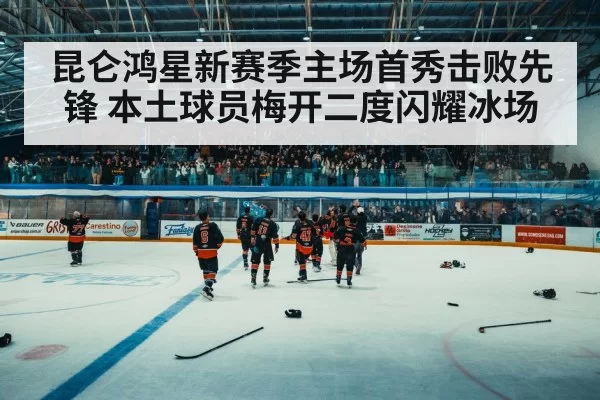 ice hockey arena crowd