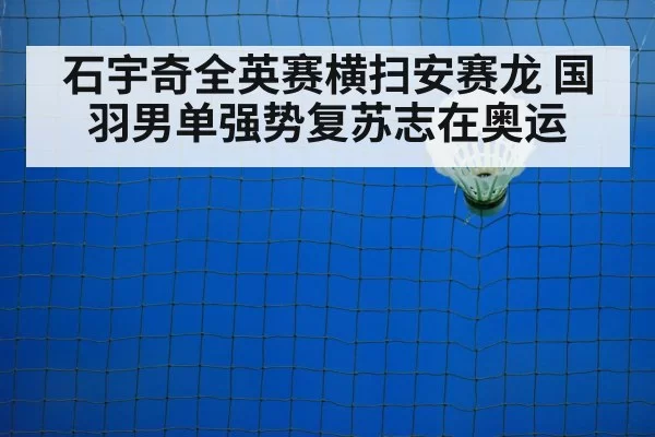 badminton net play