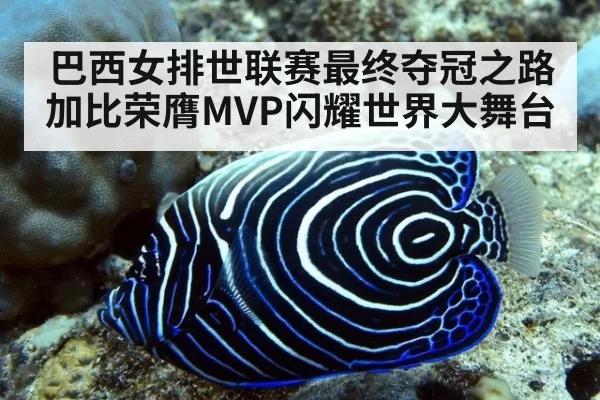 巴西女排世联赛最终夺冠之路加比荣膺MVP闪耀世界大舞台